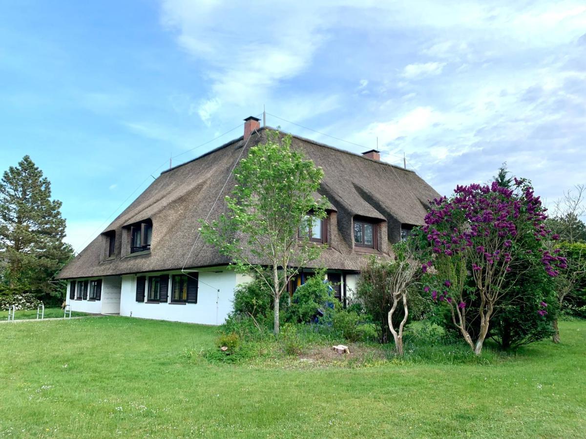 Ferienwohnung "Strandschnecke" Im Haus Hallig Oland Sankt Peter-Ording Esterno foto